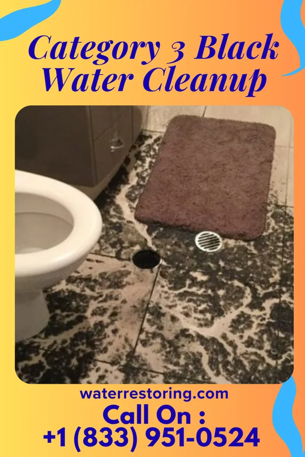 Category 3 Black Water Cleanup in Knappa, OR