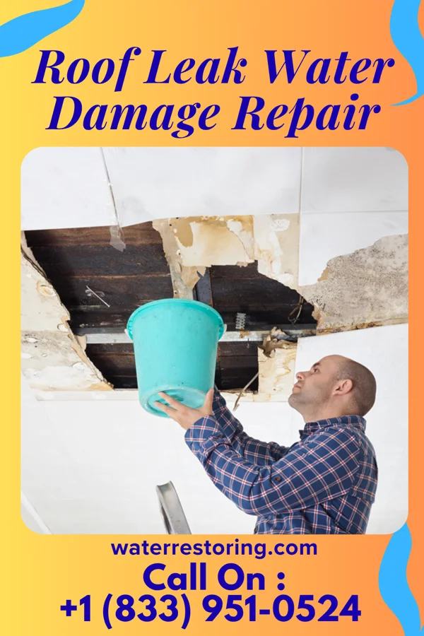 Roof Leak Water Damage Repair in Knappa, OR