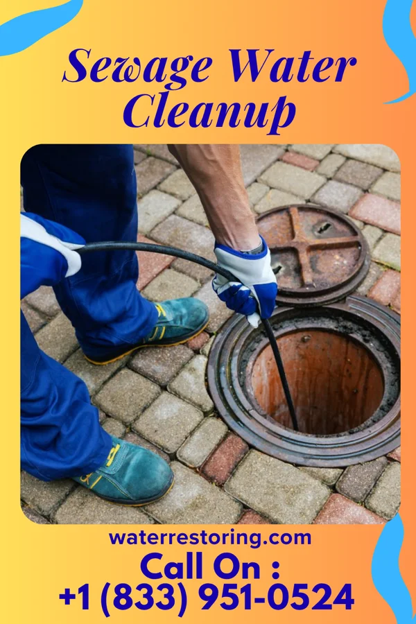 Sewage Water Cleanup in Knappa, OR
